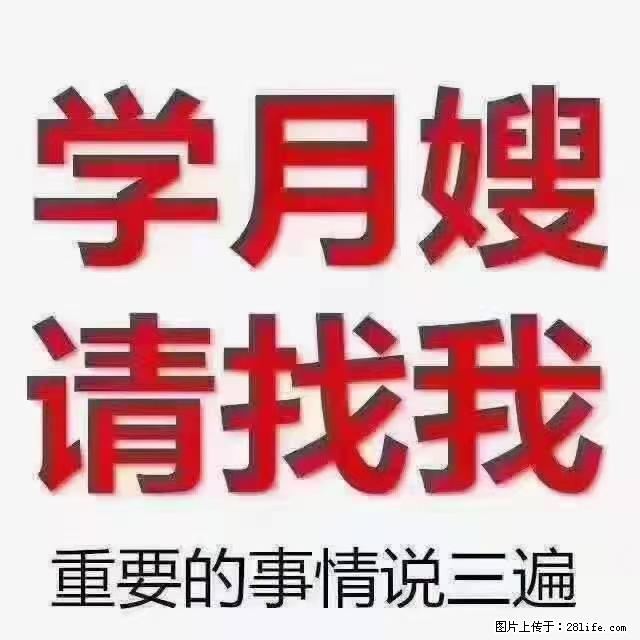 【招聘】月嫂，上海徐汇区 - 职场交流 - 商丘生活社区 - 商丘28生活网 sq.28life.com