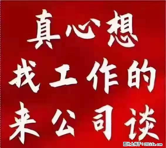 【上海】国企，医院招两名男保安，55岁以下，身高1.7米以上，无犯罪记录不良嗜好 - 职场交流 - 商丘生活社区 - 商丘28生活网 sq.28life.com