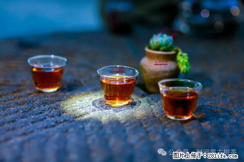 时间果百年古树2025年春红茶 - 购物交流 - 商丘生活社区 - 商丘28生活网 sq.28life.com