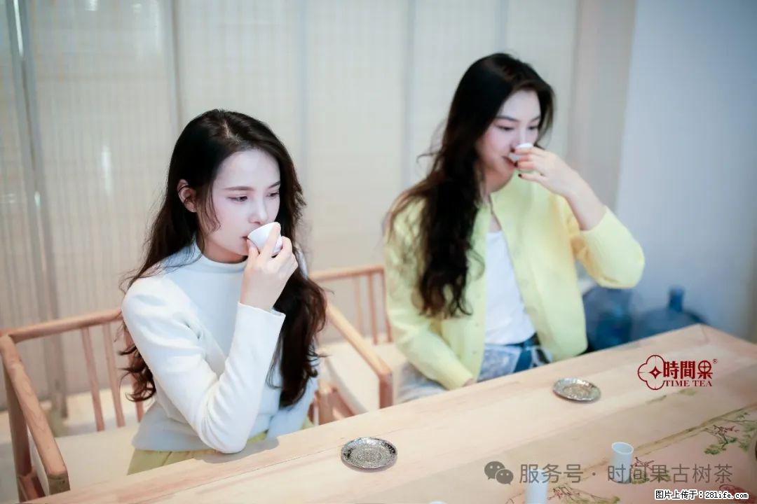 时间果百年古树龙珠普洱生茶 - 购物交流 - 商丘生活社区 - 商丘28生活网 sq.28life.com