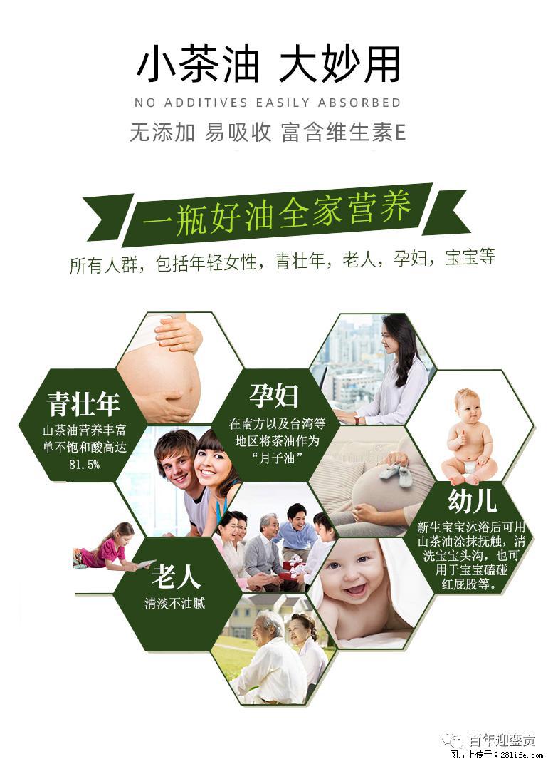 世界没有真相,只有认知,最好的食用油是中国的山茶油! - 商丘生活资讯 - 商丘28生活网 sq.28life.com