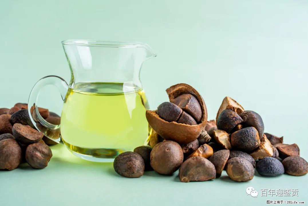 世界没有真相，只有认知，最好的食用油是中国的山茶油！ - 商丘生活资讯 - 商丘28生活网 sq.28life.com