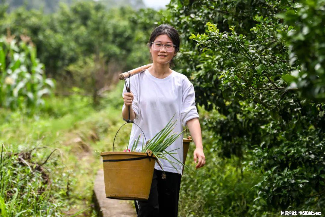 全网追的“扁担女孩”,找了一份暑假工,时薪12元 - 商丘生活资讯 - 商丘28生活网 sq.28life.com