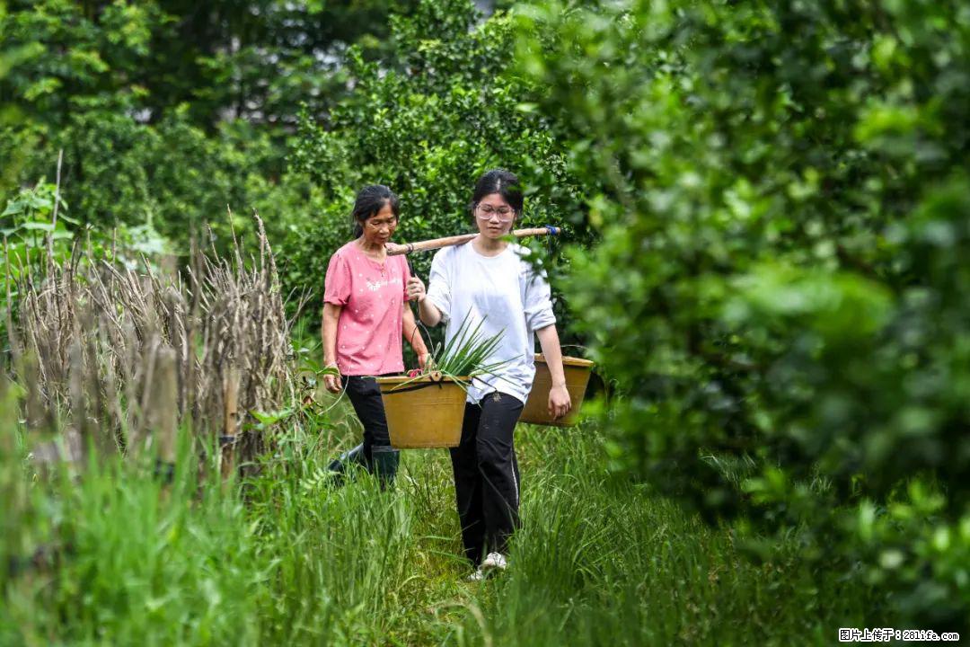 全网追的“扁担女孩”,找了一份暑假工,时薪12元 - 商丘生活资讯 - 商丘28生活网 sq.28life.com