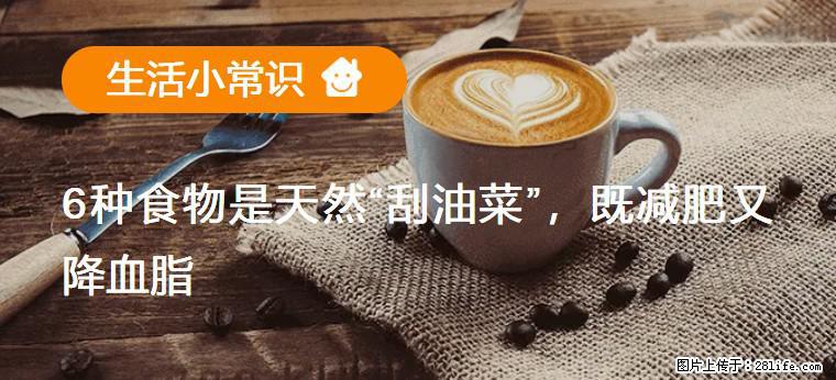 【生活小常识】6种食物是天然“刮油菜”,既减肥又降血脂 - 商丘生活资讯 - 商丘28生活网 sq.28life.com