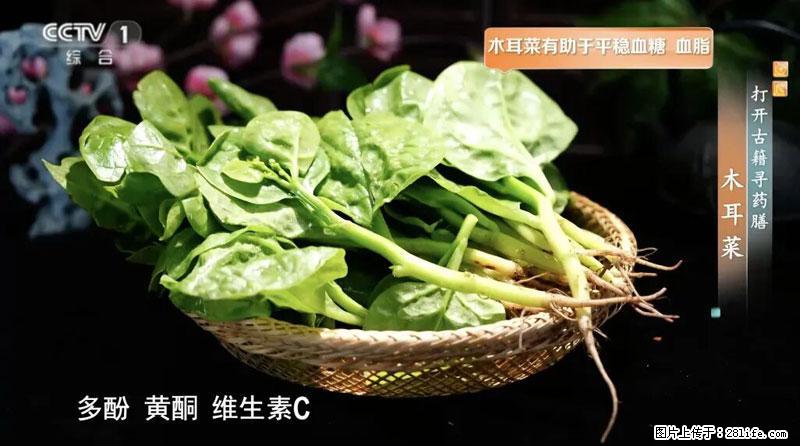 比牛奶补钙还厉害!凉血解毒、稳血糖...这菜冬天必吃,很多人却当草 - 商丘生活资讯 - 商丘28生活网 sq.28life.com
