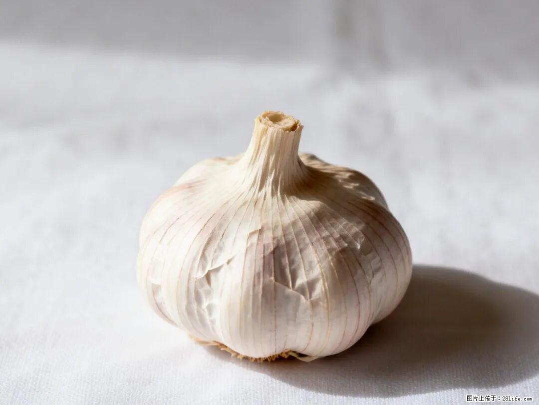关于大蒜，除了“天然抗生素”，这4个谣言更该警惕! - 商丘生活资讯 - 商丘28生活网 sq.28life.com