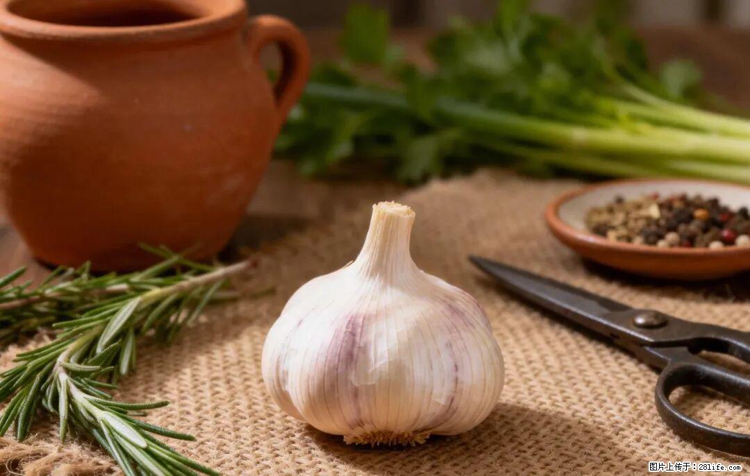 关于大蒜，除了“天然抗生素”，这4个谣言更该警惕! - 商丘生活资讯 - 商丘28生活网 sq.28life.com